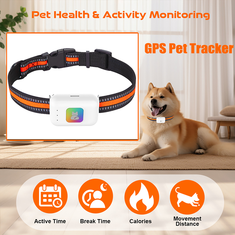 Pet GPS AGPS Tracking Device 4 - огляд і ціна Pet Supplies Discount