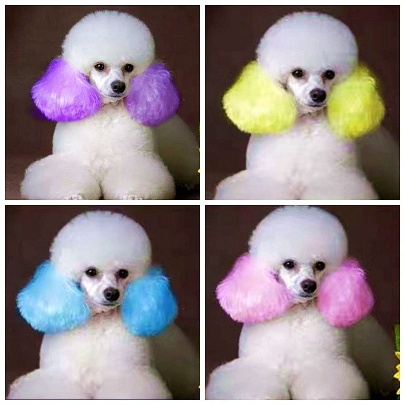 Pet Dye Cream  80g Semi Perman - огляд і ціна Pet Supplies App