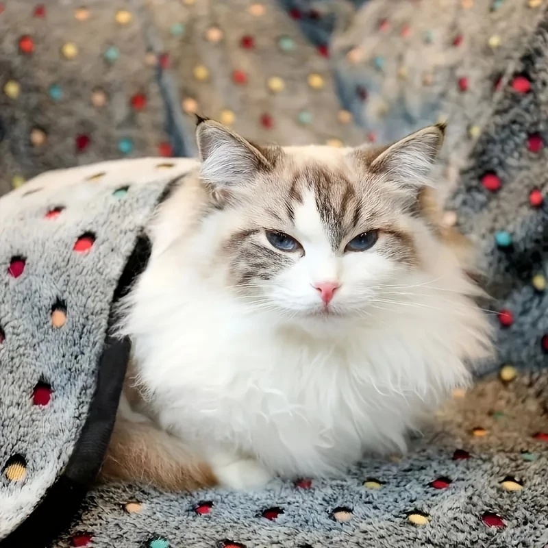 3PCS Soft Fluffy Pet Blanket C - огляд і ціна Pet Supplies Discount